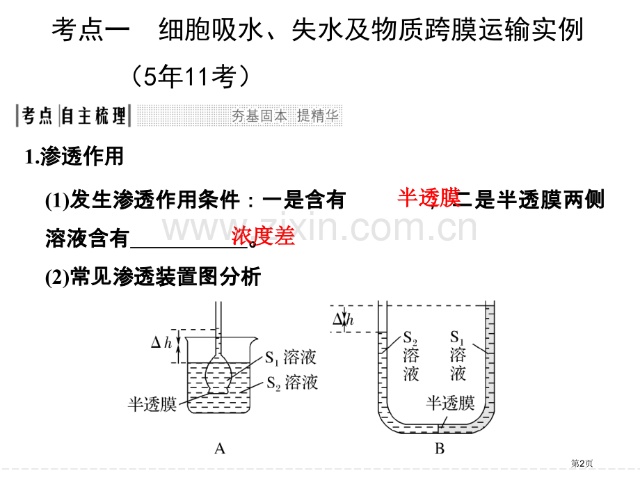 一轮复习物质跨膜运输的实例和方式省公共课一等奖全国赛课获奖课件.pptx_第2页