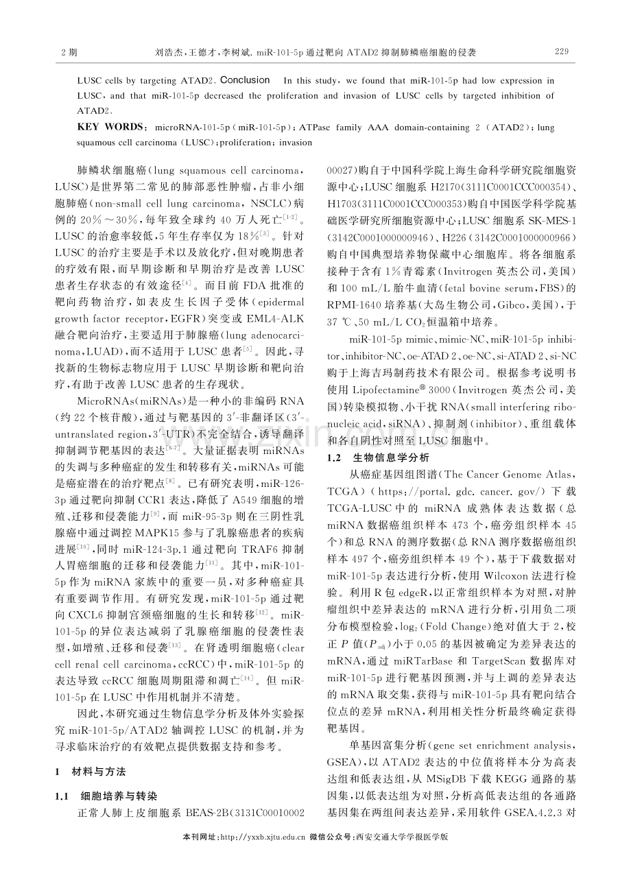 miR-101-5p通过靶向ATAD2抑制肺鳞癌细胞的侵袭.pdf_第2页