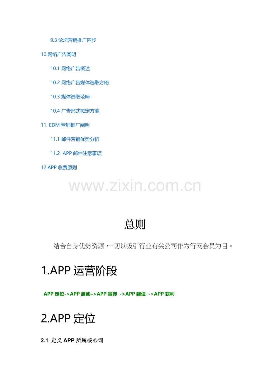 APP运营专项方案专业资料.doc_第3页