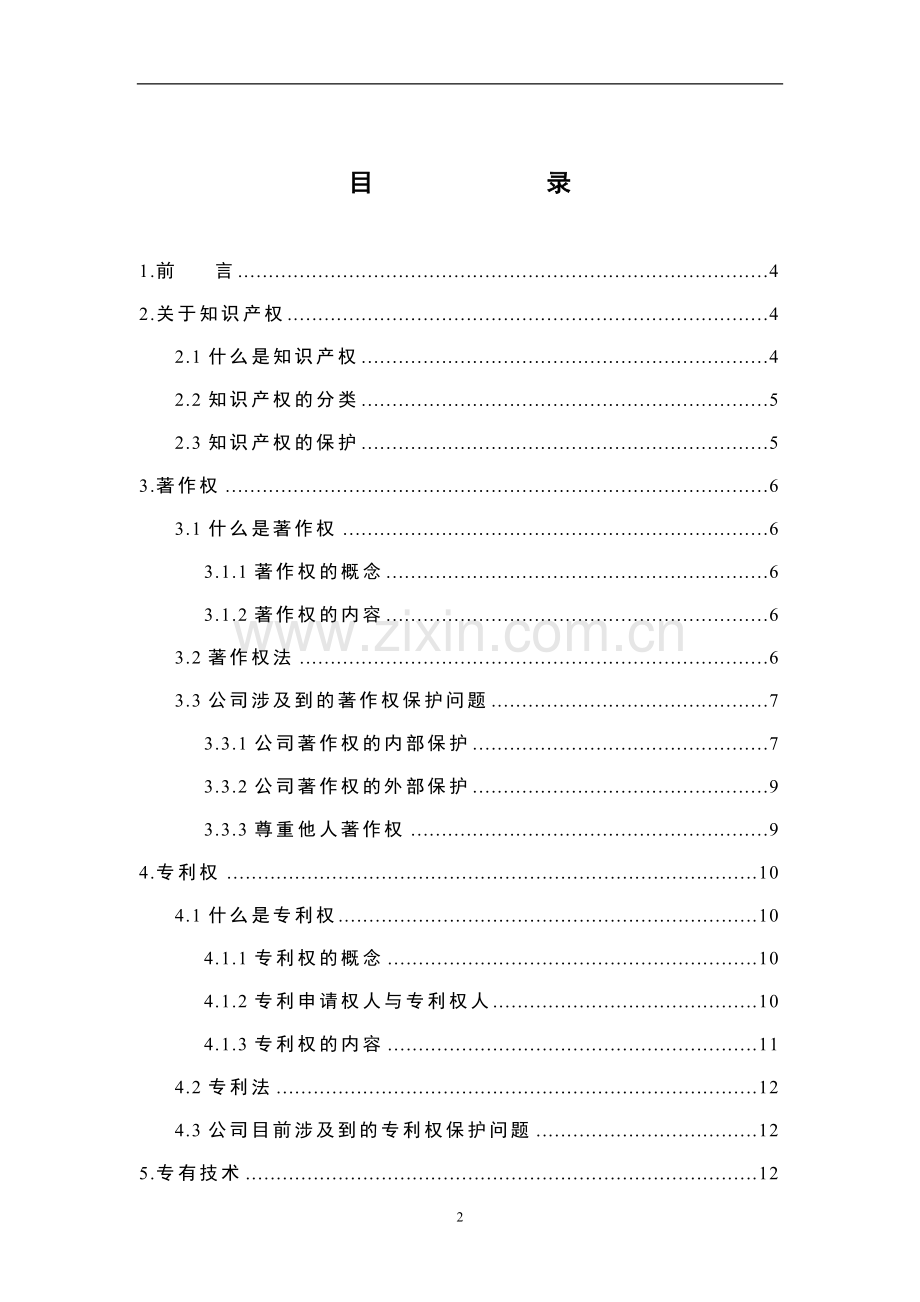 企业知识产权保护手册.doc_第2页