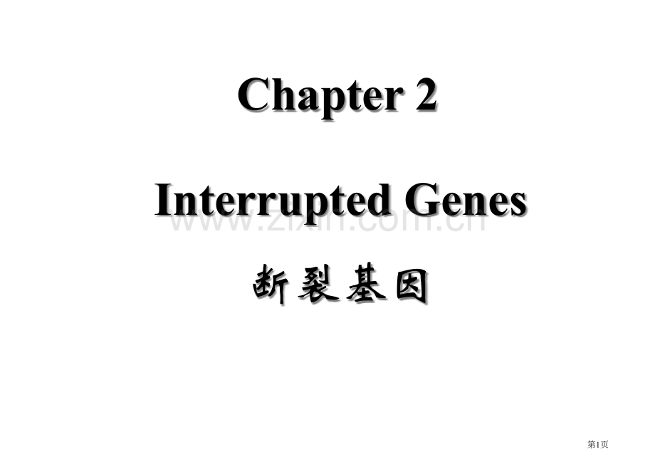 基础分子生物学Chapter省公共课一等奖全国赛课获奖课件.pptx_第1页