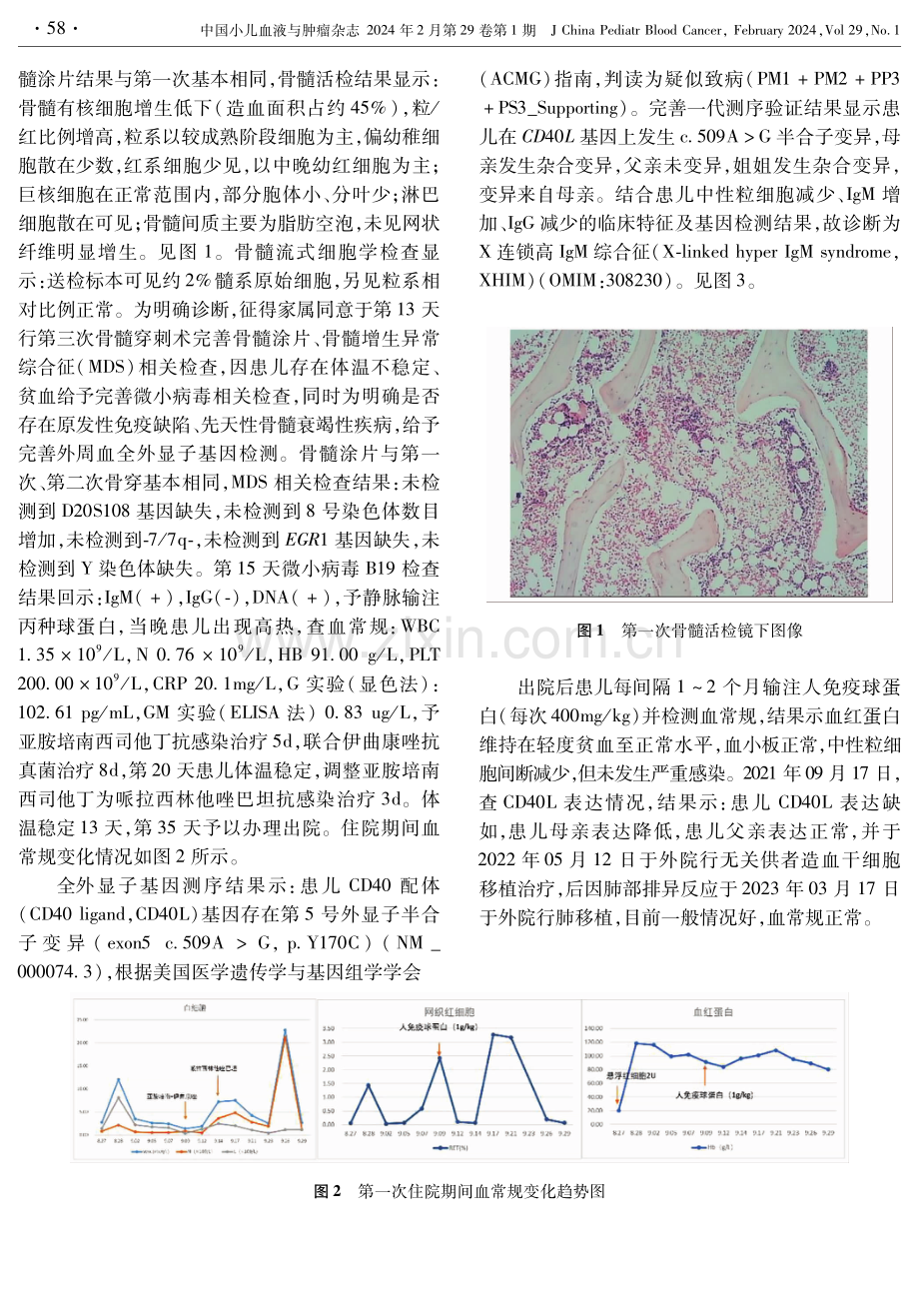 CD40L基因c.509AG突变的X连锁高IgM综合征1例.pdf_第2页