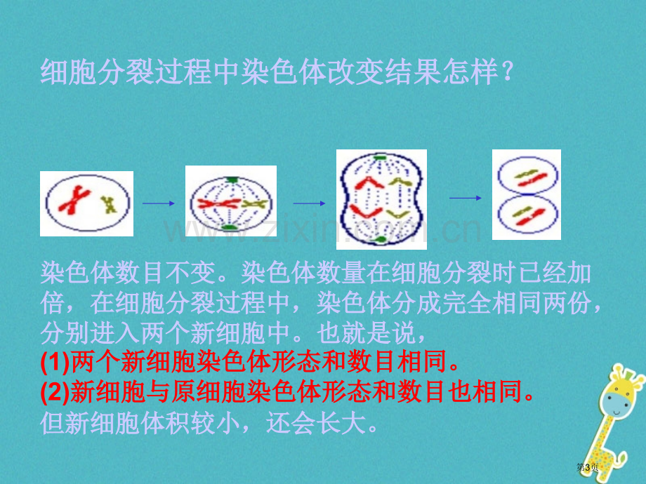 七年级生物上册第二单元第二章第二节动物体的结构层次教案市公开课一等奖百校联赛特等奖大赛微课金奖PPT.pptx_第3页