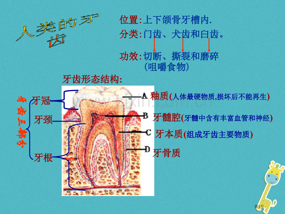 七年级生物下册第四单元第二章人体的营养消化和吸收市公开课一等奖百校联赛特等奖大赛微课金奖PPT课件.pptx_第3页