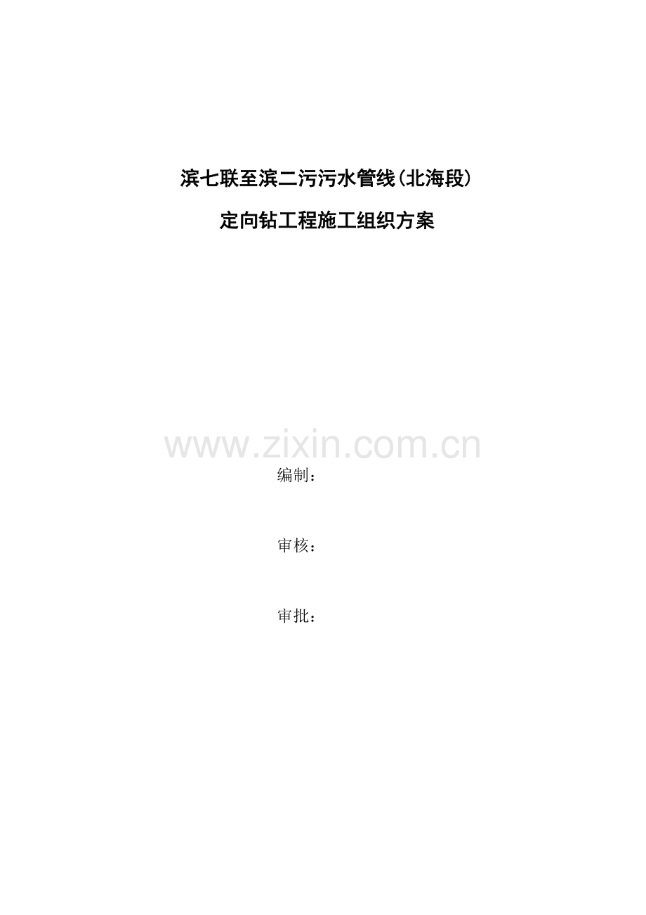 定向钻综合项目施工专项方案(2).doc_第1页