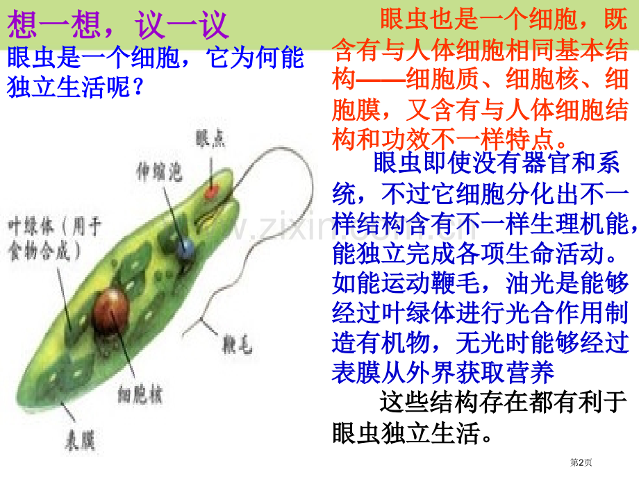 单细胞生物课件省公开课一等奖新名师优质课比赛一等奖课件.pptx_第2页