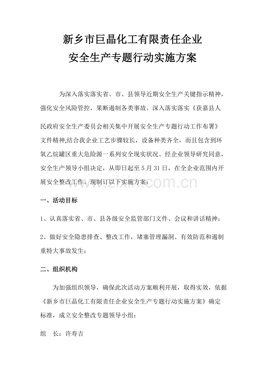 安全生产专项行动实施专项方案.docx_第1页