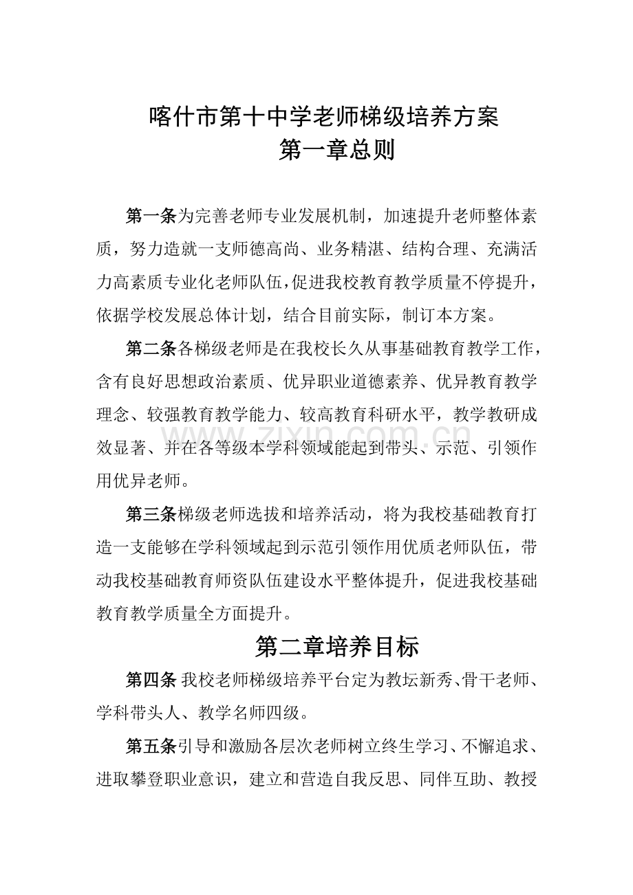 中学教师梯级培养专项方案.doc_第1页