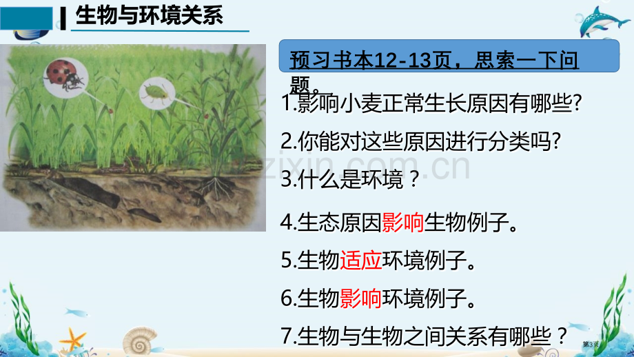 生物与环境的关系优质课件省公开课一等奖新名师优质课比赛一等奖课件.pptx_第3页