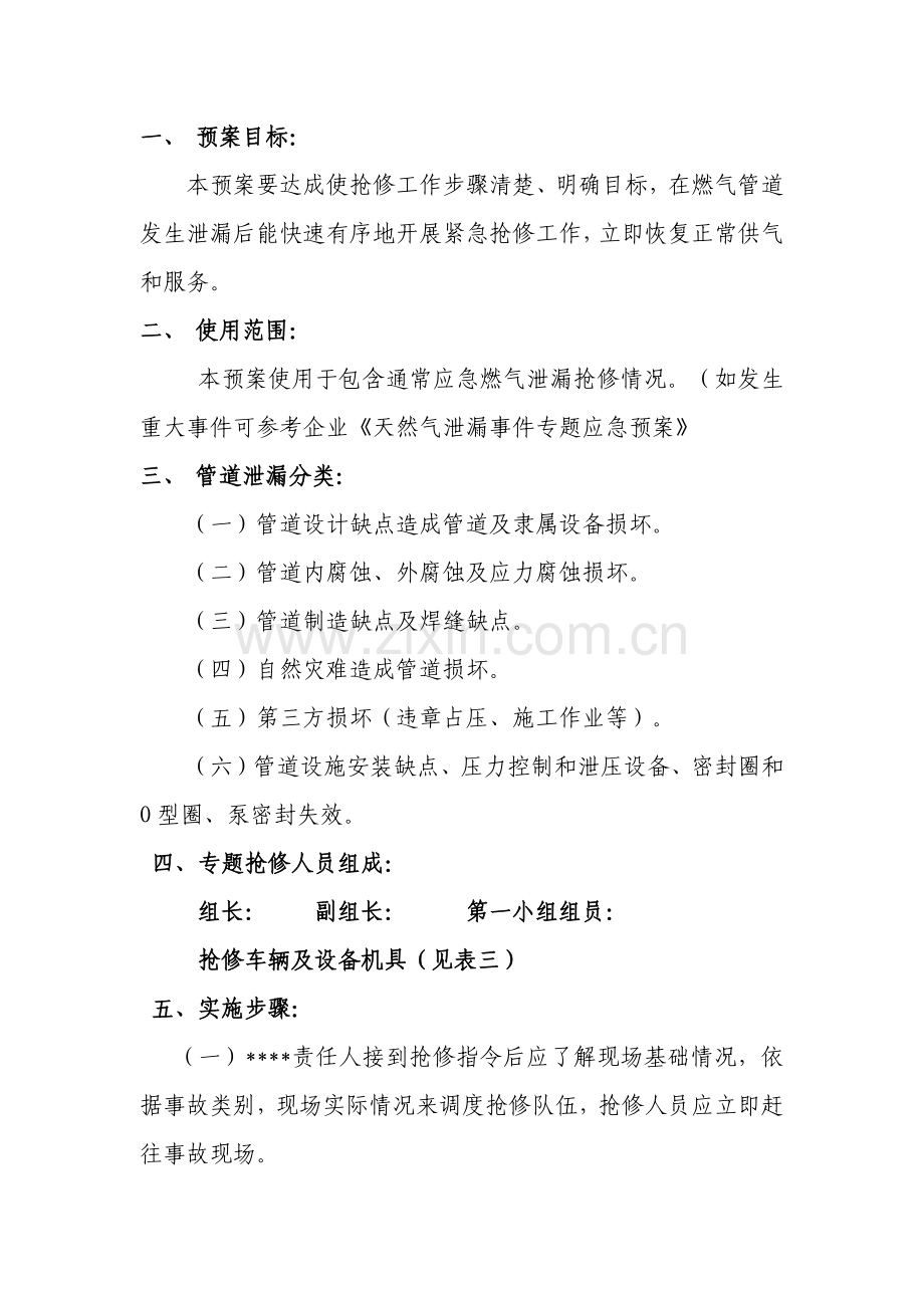 天然气公司专项抢险抢修应急专项预案.docx_第2页