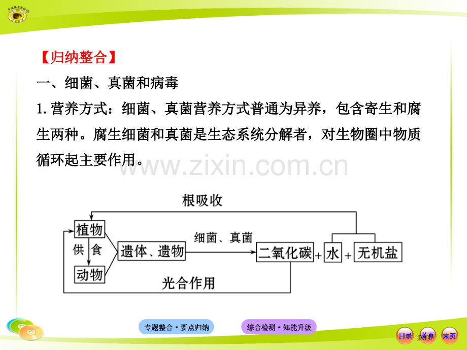 人教版初中生物中考复习专题二生物圈中的生物市公开课一等奖百校联赛特等奖课件.pptx_第3页