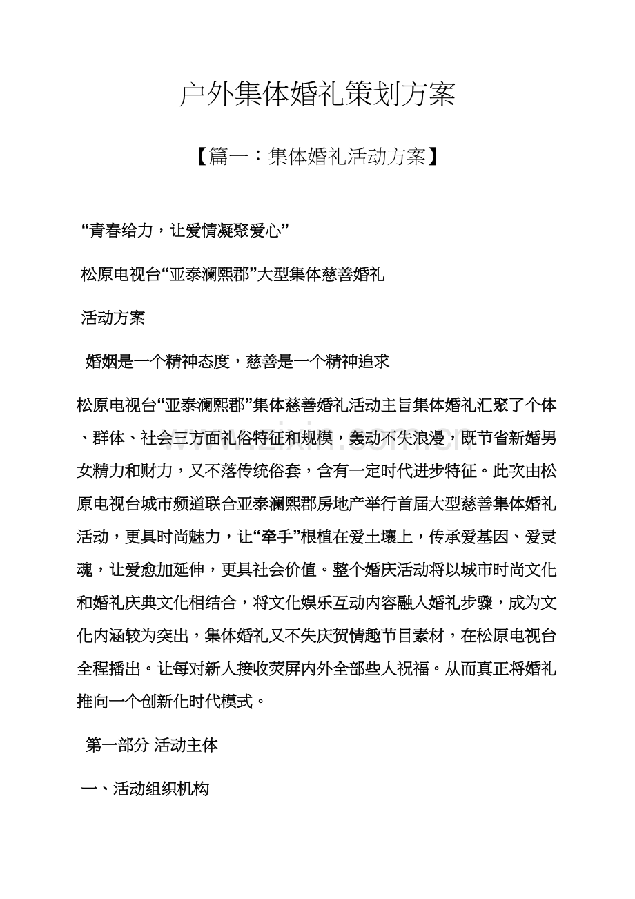 婚礼致辞之户外集体婚礼专业策划专项方案.docx_第1页