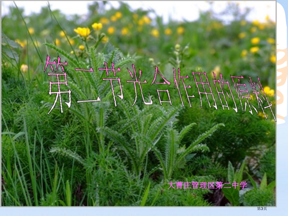 八年级生物上册光合作用的原料冀教版省公共课一等奖全国赛课获奖课件.pptx_第3页