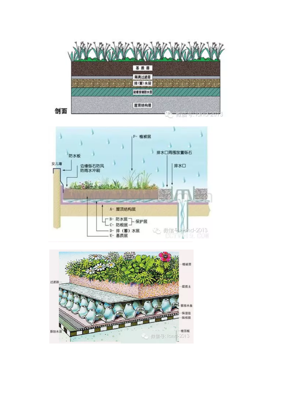 屋顶花园设计综合规范.docx_第3页