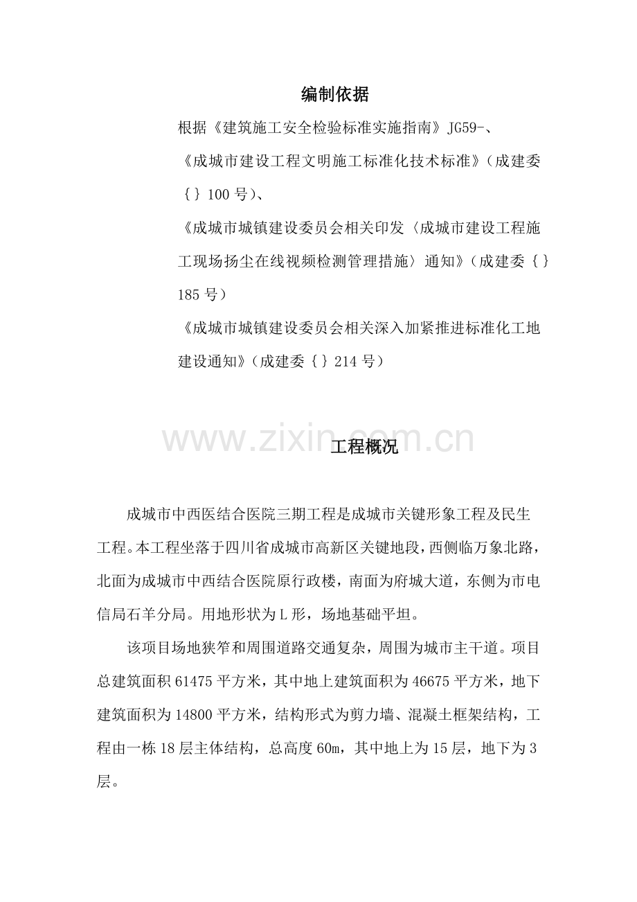 安全文明综合项目施工常态化管理专项方案MicrosoftOfficeWord文档.docx_第2页