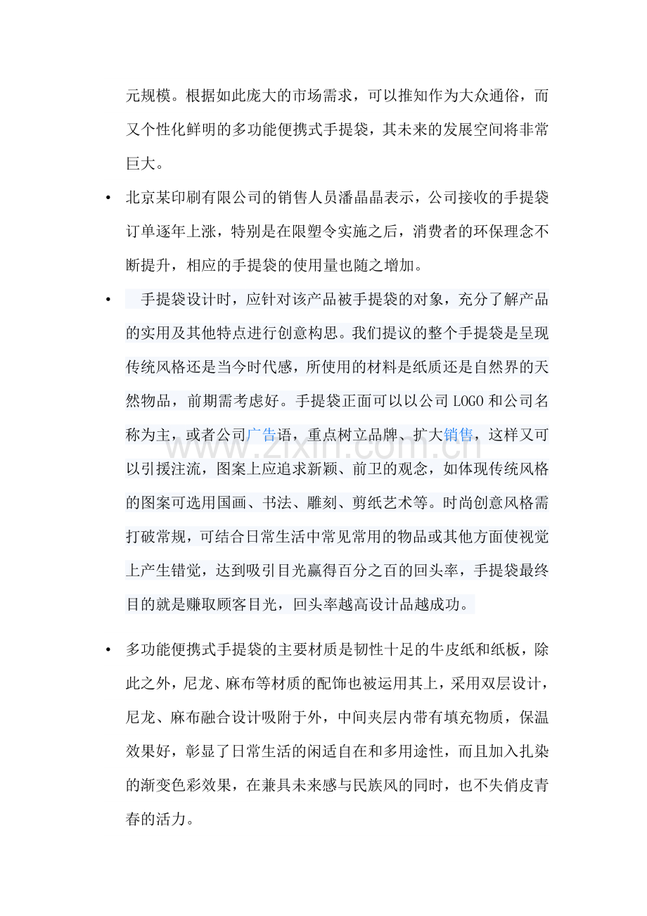 租赁式多功能手提袋商品策划书.docx_第2页