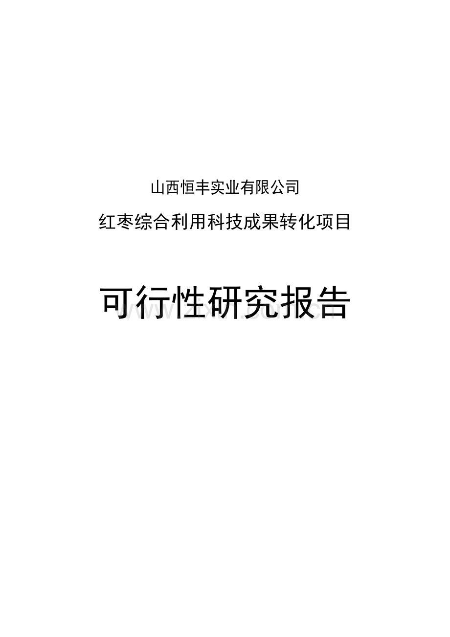 红枣综合利用科技成果转化项目建设可行性研究报告(新).doc_第1页