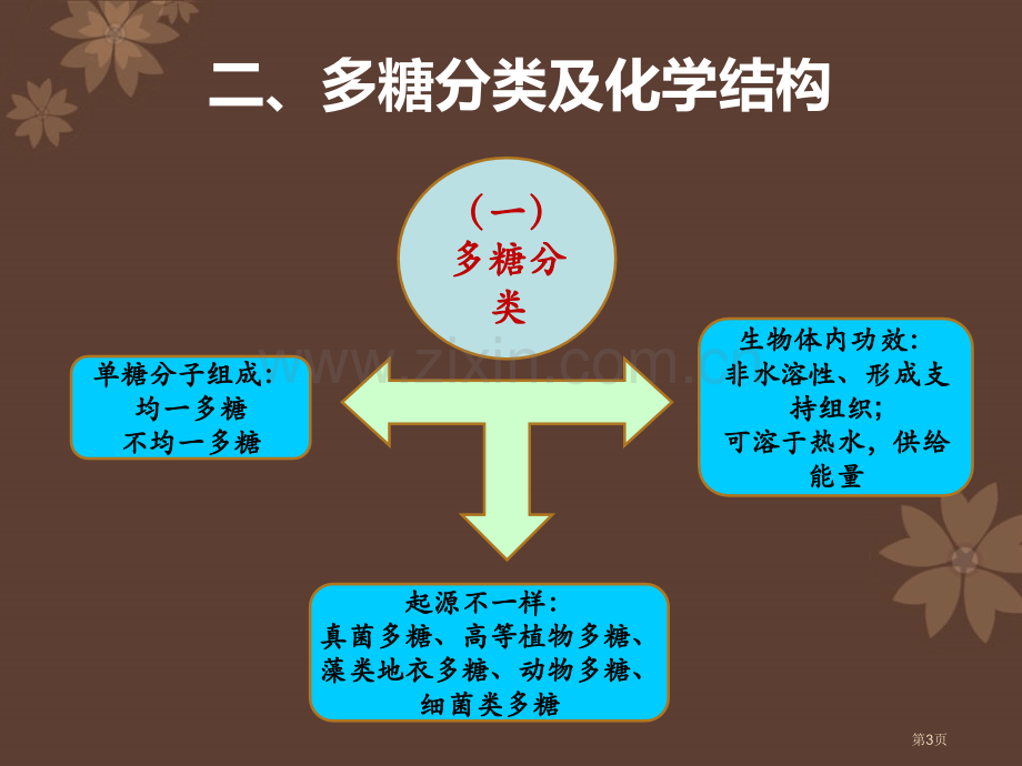 天然产物化学多糖省公共课一等奖全国赛课获奖课件.pptx_第3页