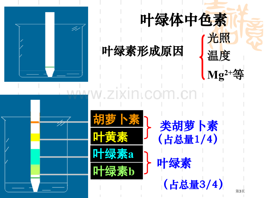 人教版教学光合作用的复习省公共课一等奖全国赛课获奖课件.pptx_第3页