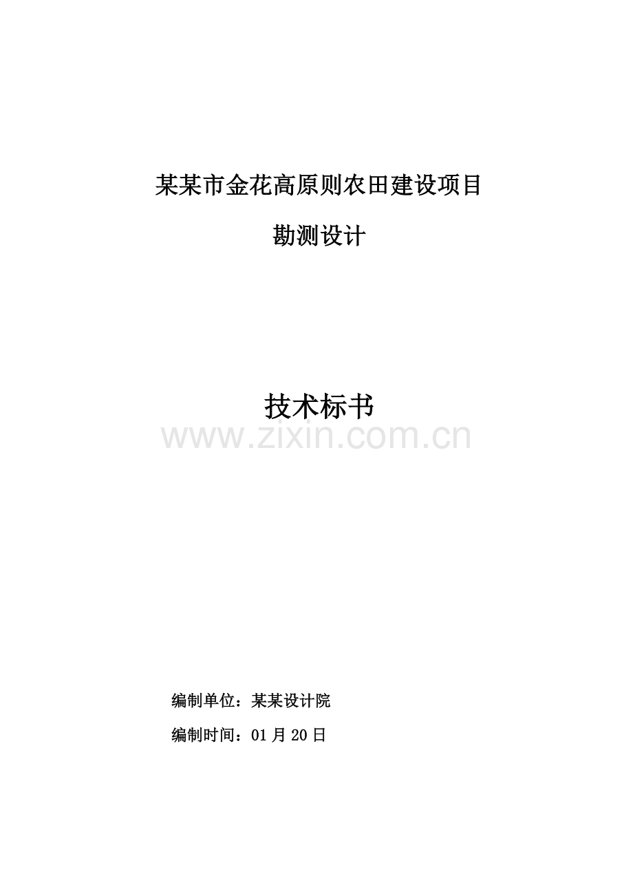 市金花高统一标准农田建设综合项目勘测设计关键技术标书模板.doc_第1页