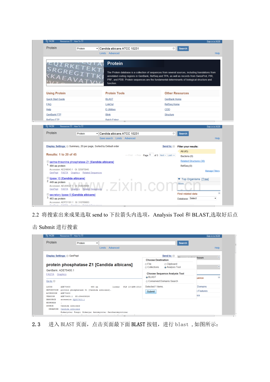 MEGA使用说明指导书专业资料.doc_第3页