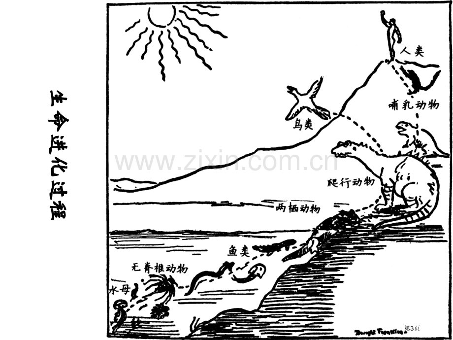 历史岳麓版九年级上史前时期的人类省公共课一等奖全国赛课获奖课件.pptx_第3页