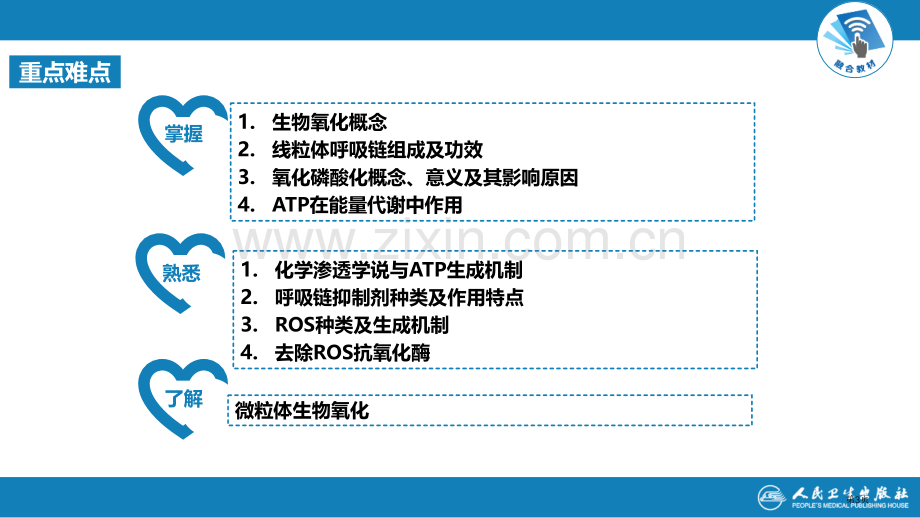 生物化学和分子生物学人卫节生物氧化省公共课一等奖全国赛课获奖课件.pptx_第3页