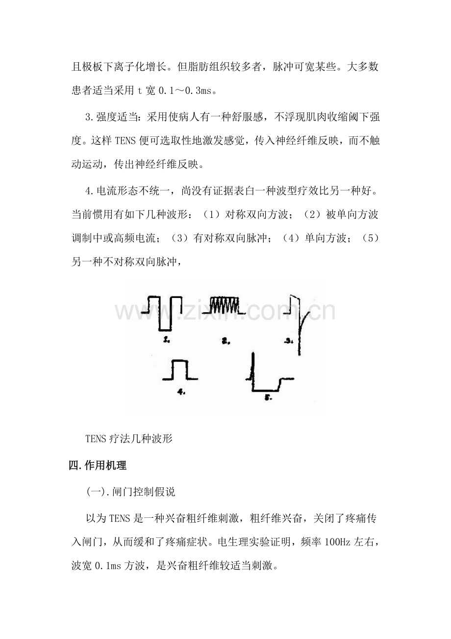 TENS调查研究报告专业资料.doc_第2页