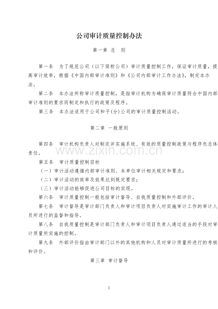 国有公司审计质量控制办法-模版.docx_第1页