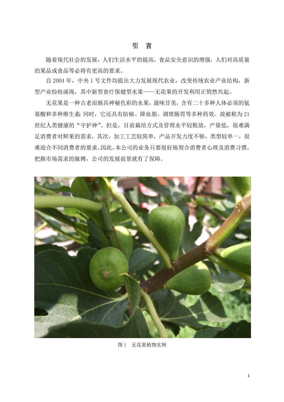 无花果项目商业计划方案书.doc_第1页