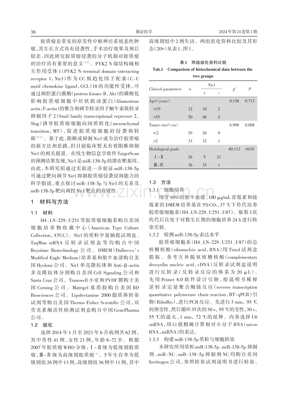 miR⁃138⁃5p靶向Nir1调控胶质瘤细胞的侵袭.pdf_第2页