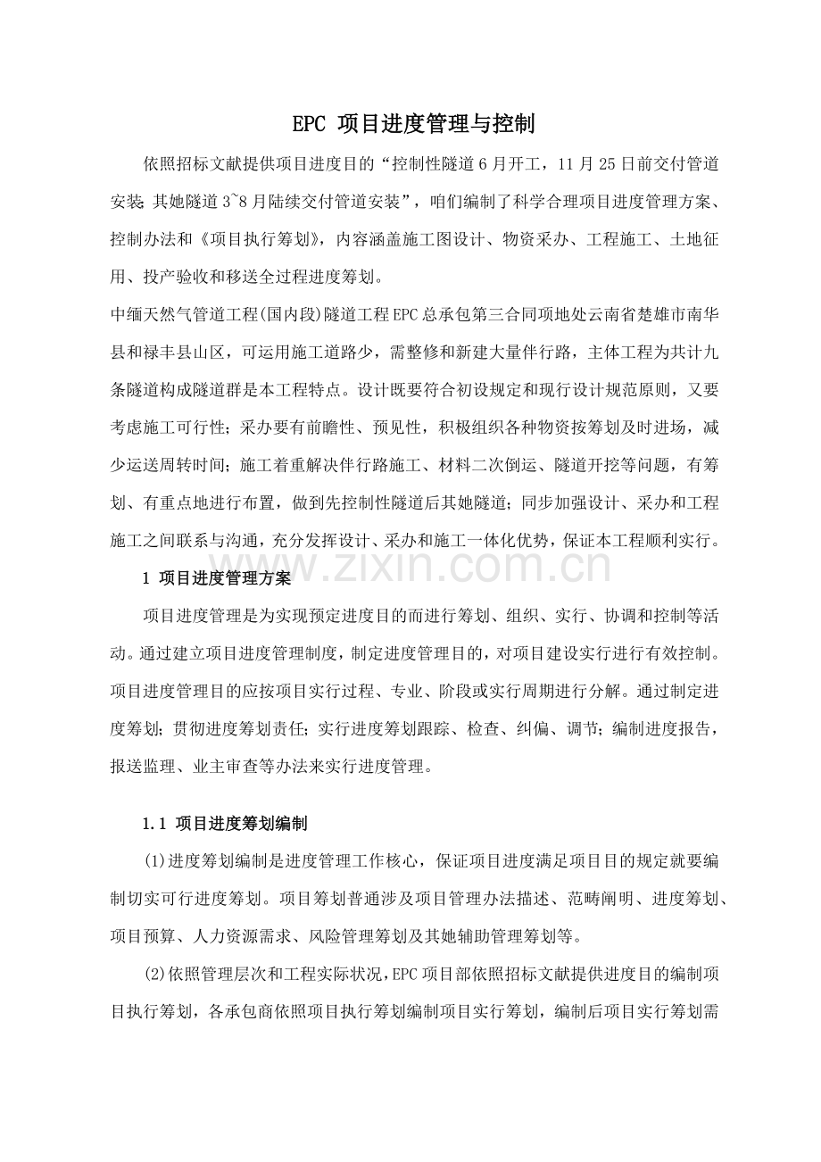 EPC综合项目进度管理与控制专项措施.doc_第1页