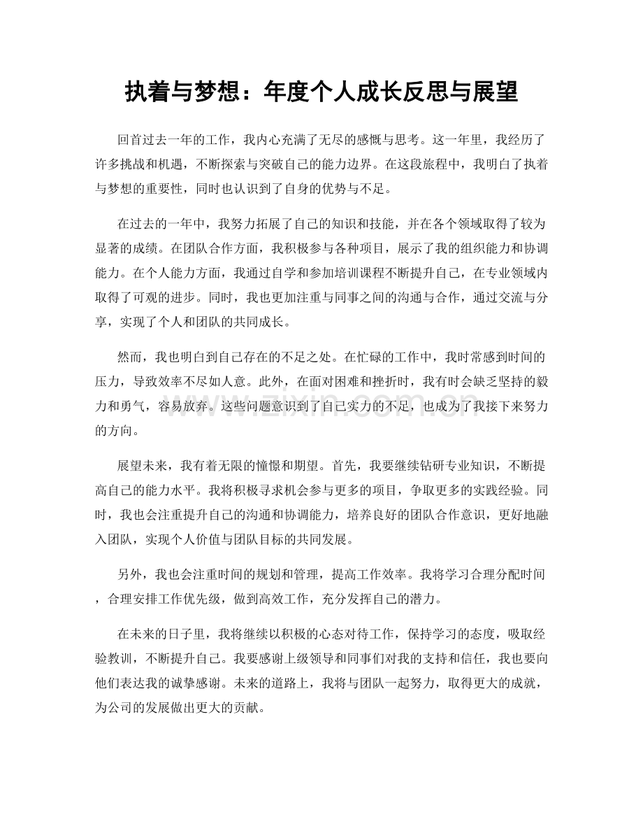 执着与梦想：年度个人成长反思与展望.docx_第1页