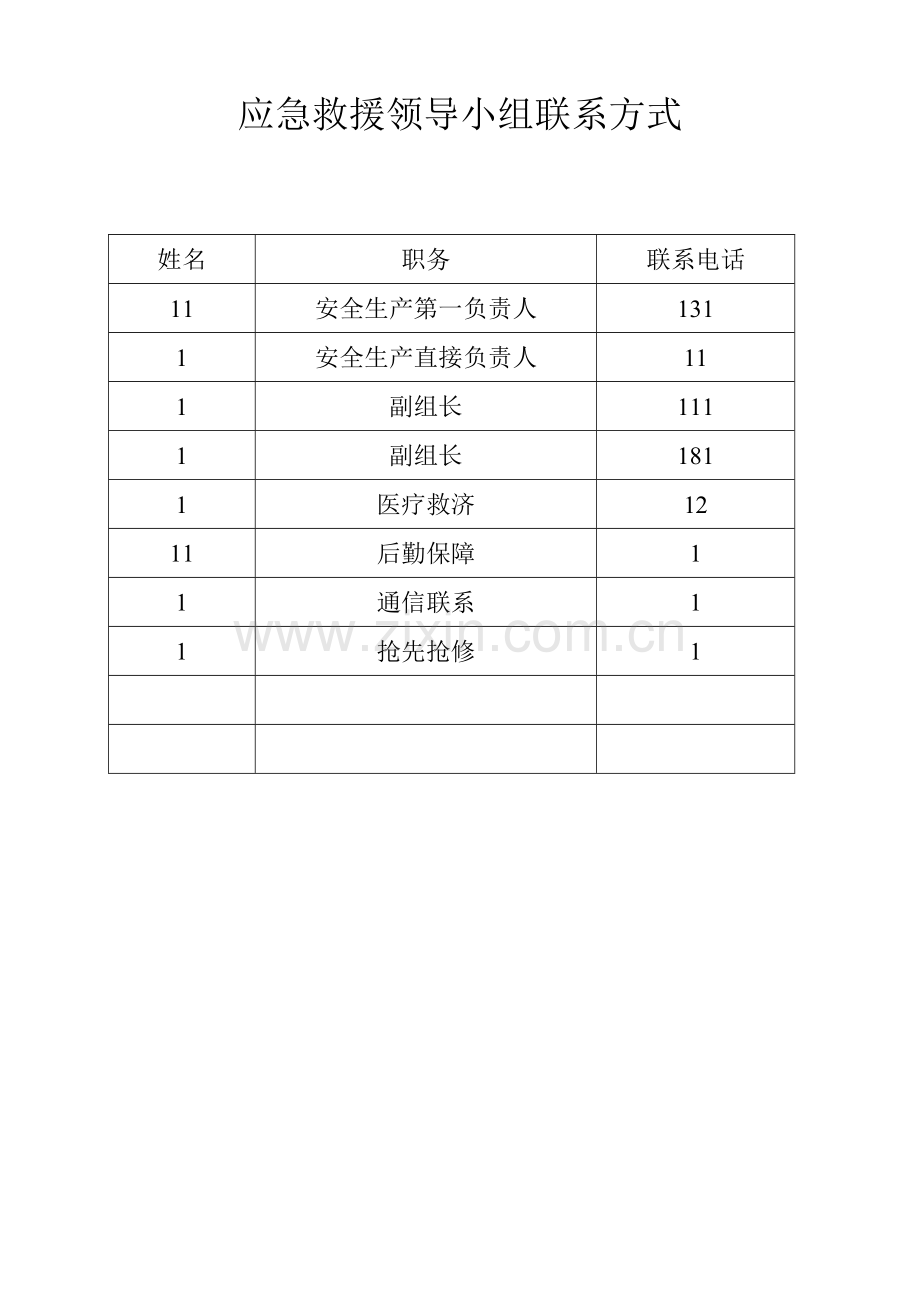 公司应急组织机构组织机构及职责.doc_第3页