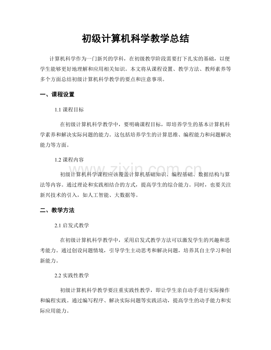 初级计算机科学教学总结.docx_第1页