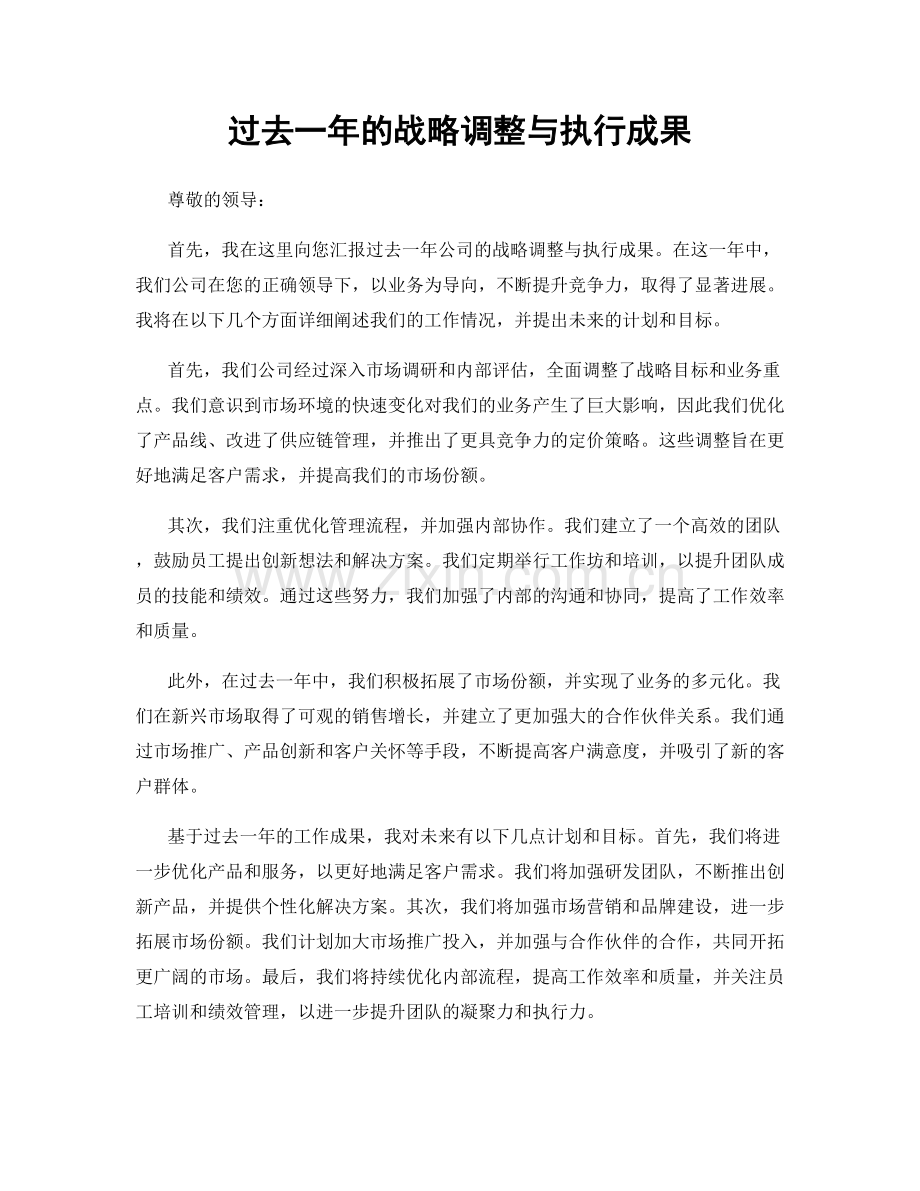 过去一年的战略调整与执行成果.docx_第1页