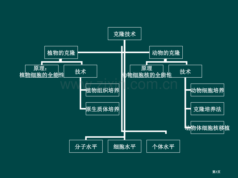 中学生物浙科版选修复习克隆技术省公共课一等奖全国赛课获奖课件.pptx_第3页