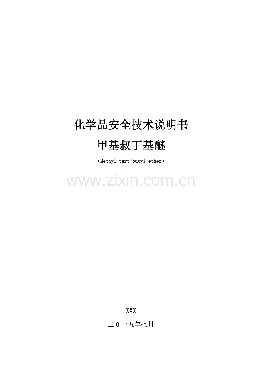 MTBE安全关键技术说明指导书.docx_第1页