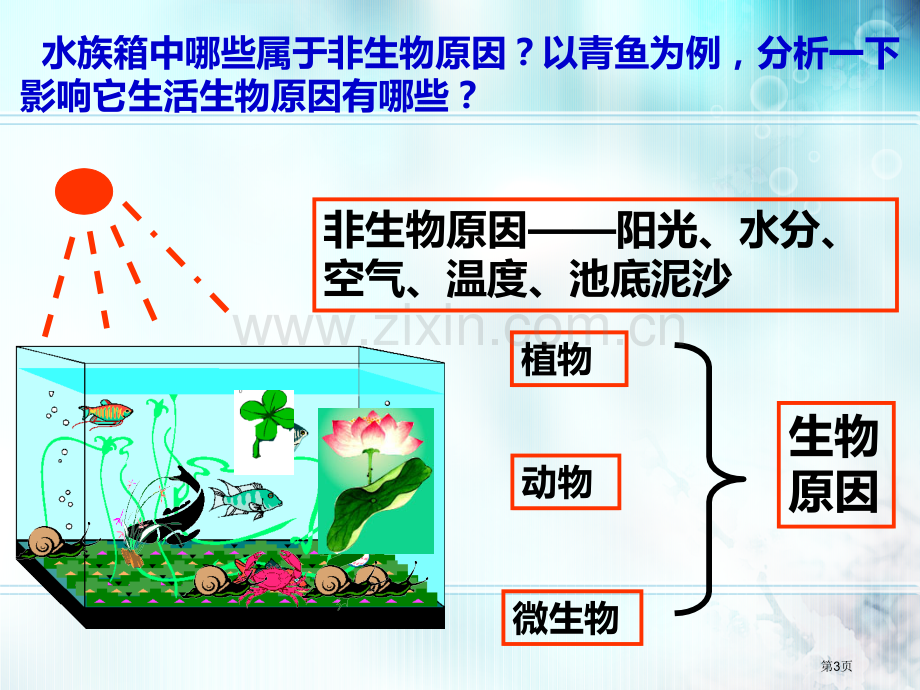 八冀教版生态系统的组成和类型省公共课一等奖全国赛课获奖课件.pptx_第3页