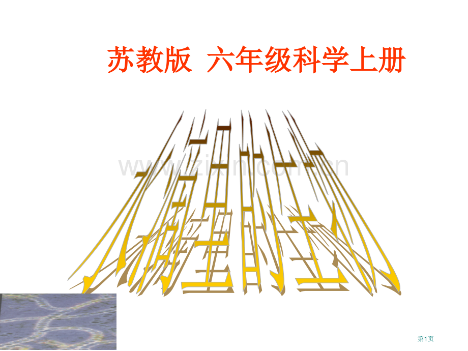 六年级上册水滴里的生物PPT之一省公共课一等奖全国赛课获奖课件.pptx_第1页