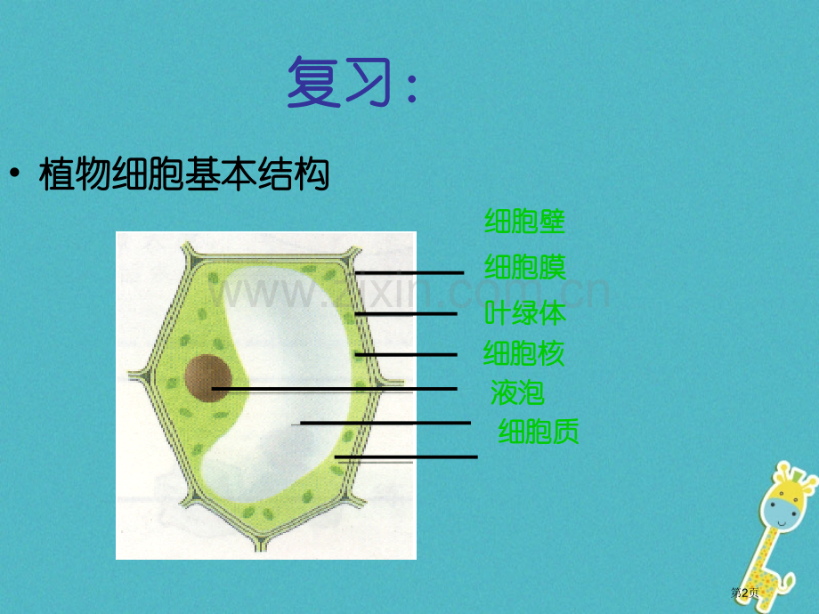 七年级生物上册第二单元第一章第三节动物细胞PPT市公开课一等奖百校联赛特等奖大赛微课金奖PPT课件.pptx_第2页