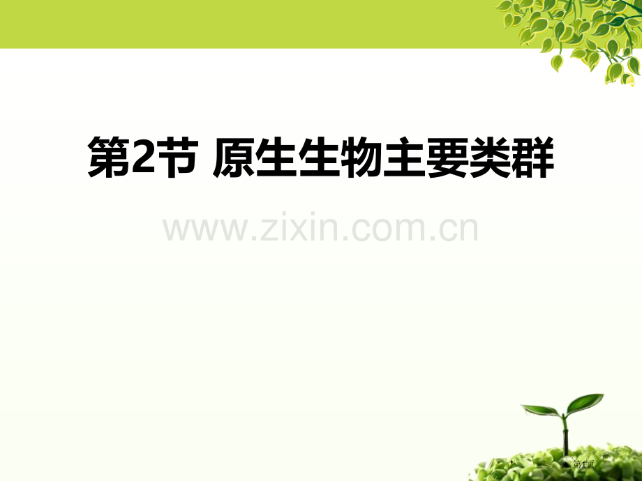 原生生物的主要类群课件省公开课一等奖新名师优质课比赛一等奖课件.pptx_第1页