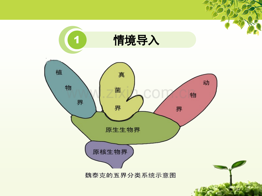 原生生物的主要类群课件省公开课一等奖新名师优质课比赛一等奖课件.pptx_第2页