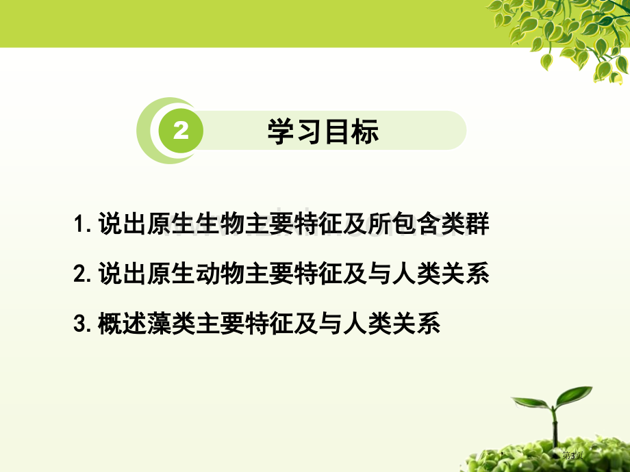 原生生物的主要类群课件省公开课一等奖新名师优质课比赛一等奖课件.pptx_第3页