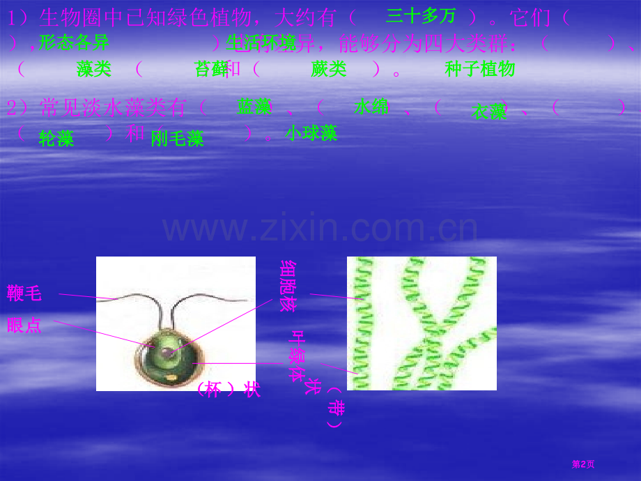 七年级生物上册第一二单元复习省公共课一等奖全国赛课获奖课件.pptx_第2页