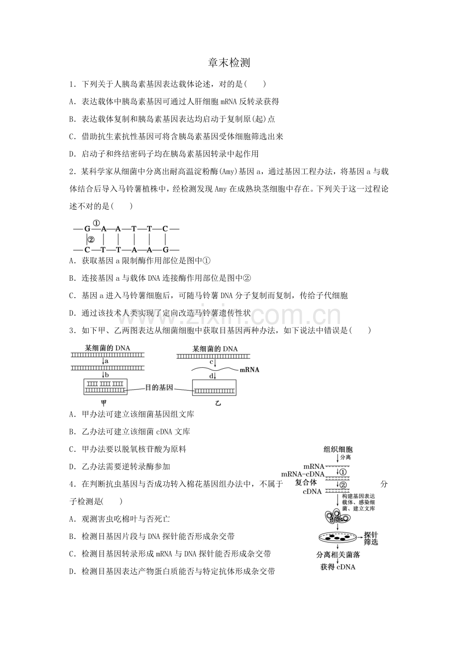 基因综合项目工程章末检测附答案.doc_第1页