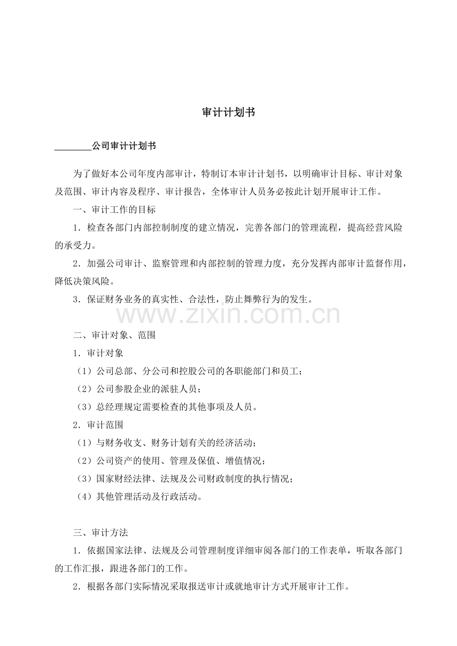 企业审计计划书模版.docx_第1页