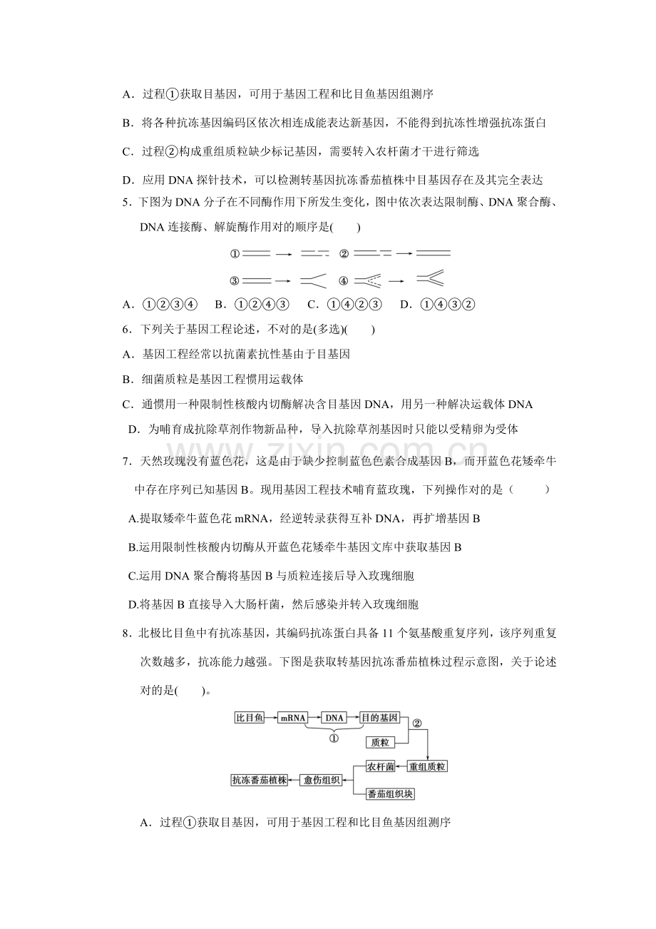 基因综合项目工程的基本操作程序习题.doc_第2页