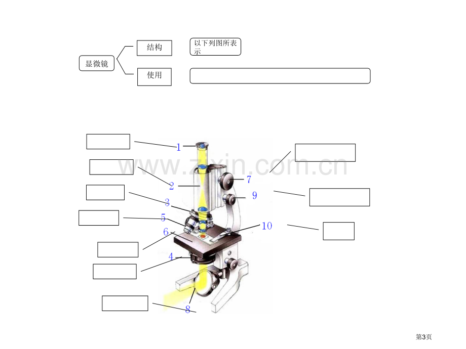 一生物的基本特征市公开课一等奖百校联赛特等奖课件.pptx_第3页