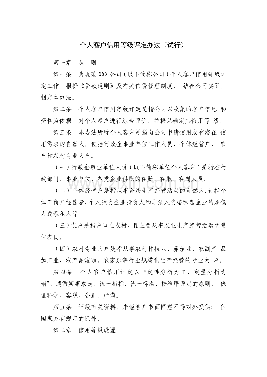 小额公司个人客户信用等级评定办法(试行)模版.docx_第1页